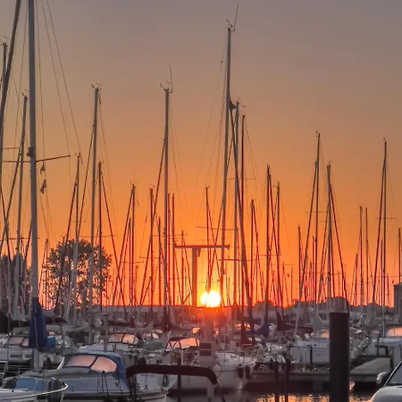 Seepferdchen Marina