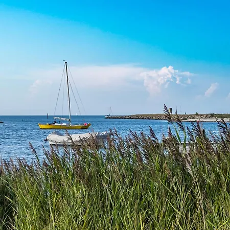 Seepferdchen Marina Tatil Evi Wendtorf