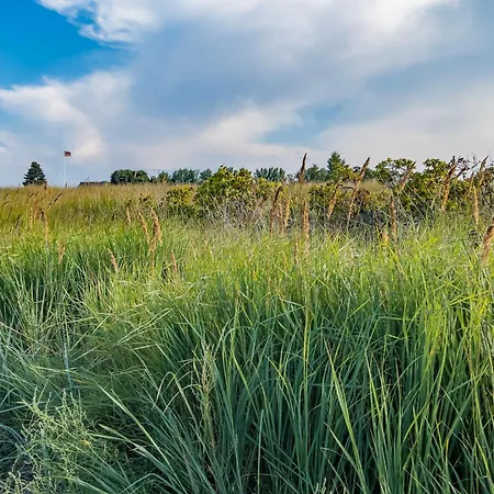 Seepferdchen Marina Tatil Evi *